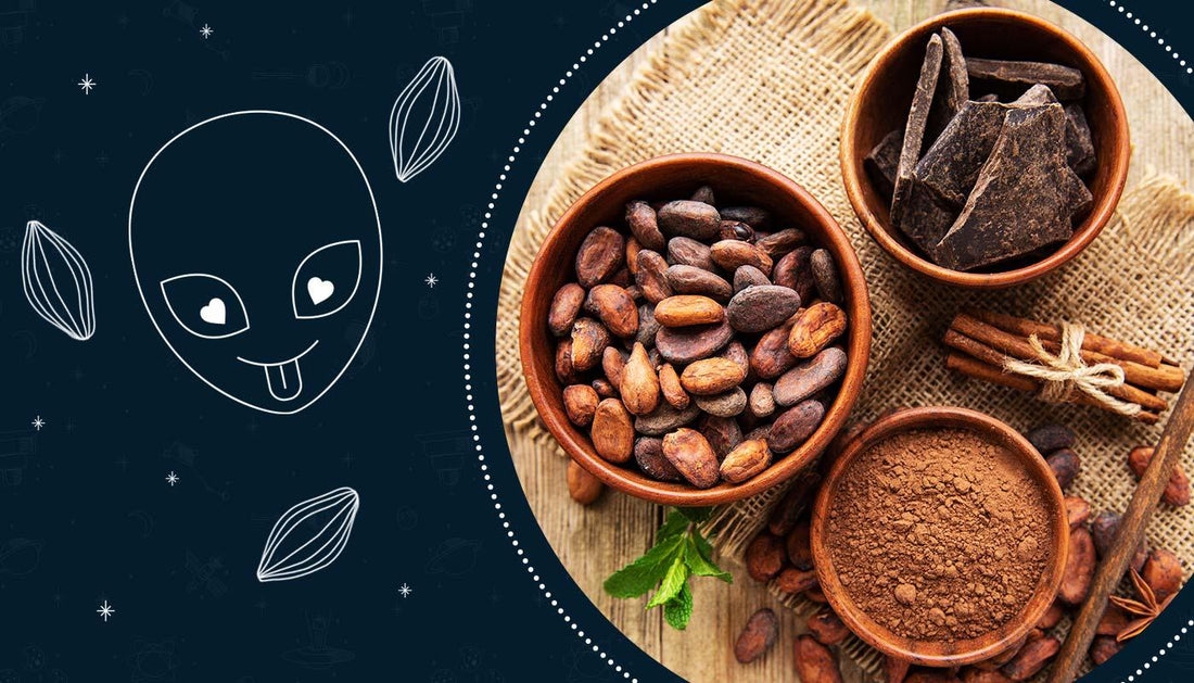 EL CACAO Y SUS BENEFICIOS PARA LOS TERRÍCOLAS - Etérea