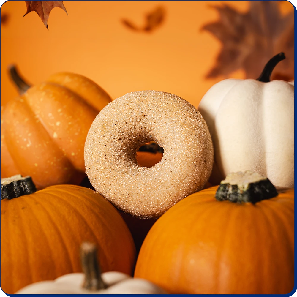 Apple Cider Donut