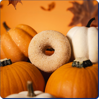 Apple Cider Donut