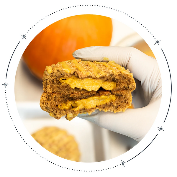 Pumpkin Cheesecake Cookie